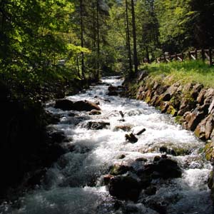 A Day by the Stream with Heraclitus